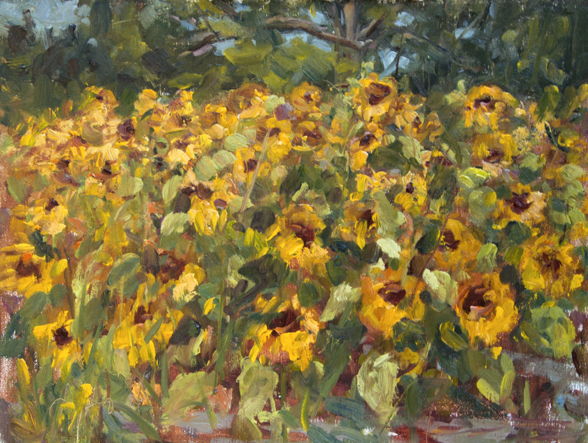 Sea of Sunflowers by Stephanie Amato 