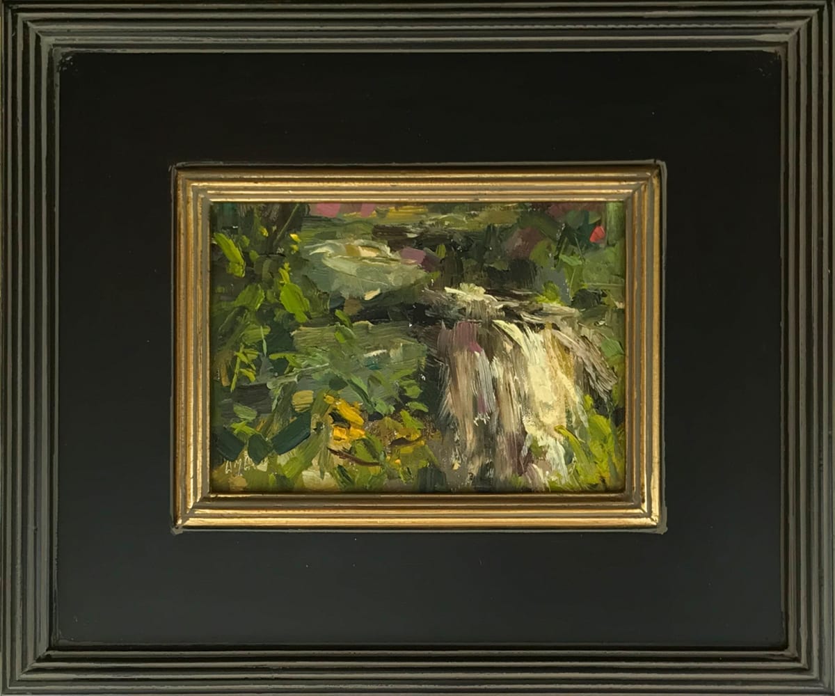 Waterfall Surprise by Stephanie Amato 