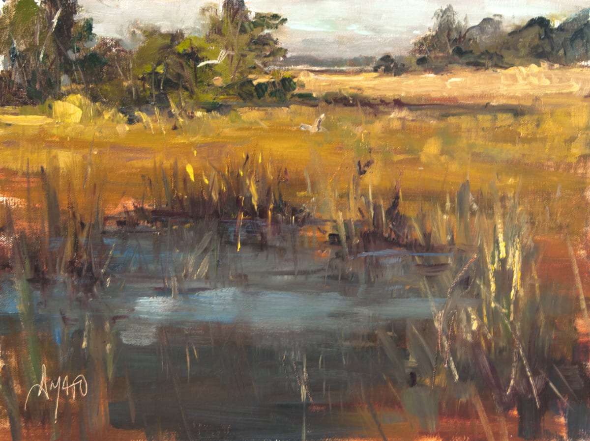 Shem Creek Marsh by Stephanie Amato 