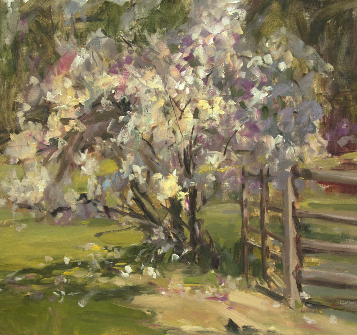 The Color of Spring by Stephanie Amato, Image 1.