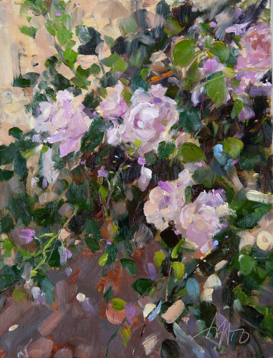 New Dawn Roses by Stephanie Amato 