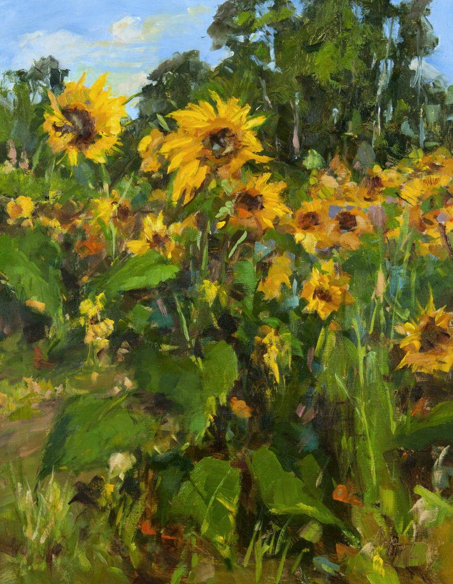 Sunflower Swan Song by Stephanie Amato 