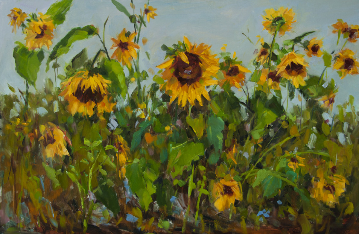 Sunflowers in the Garden by Stephanie Amato 