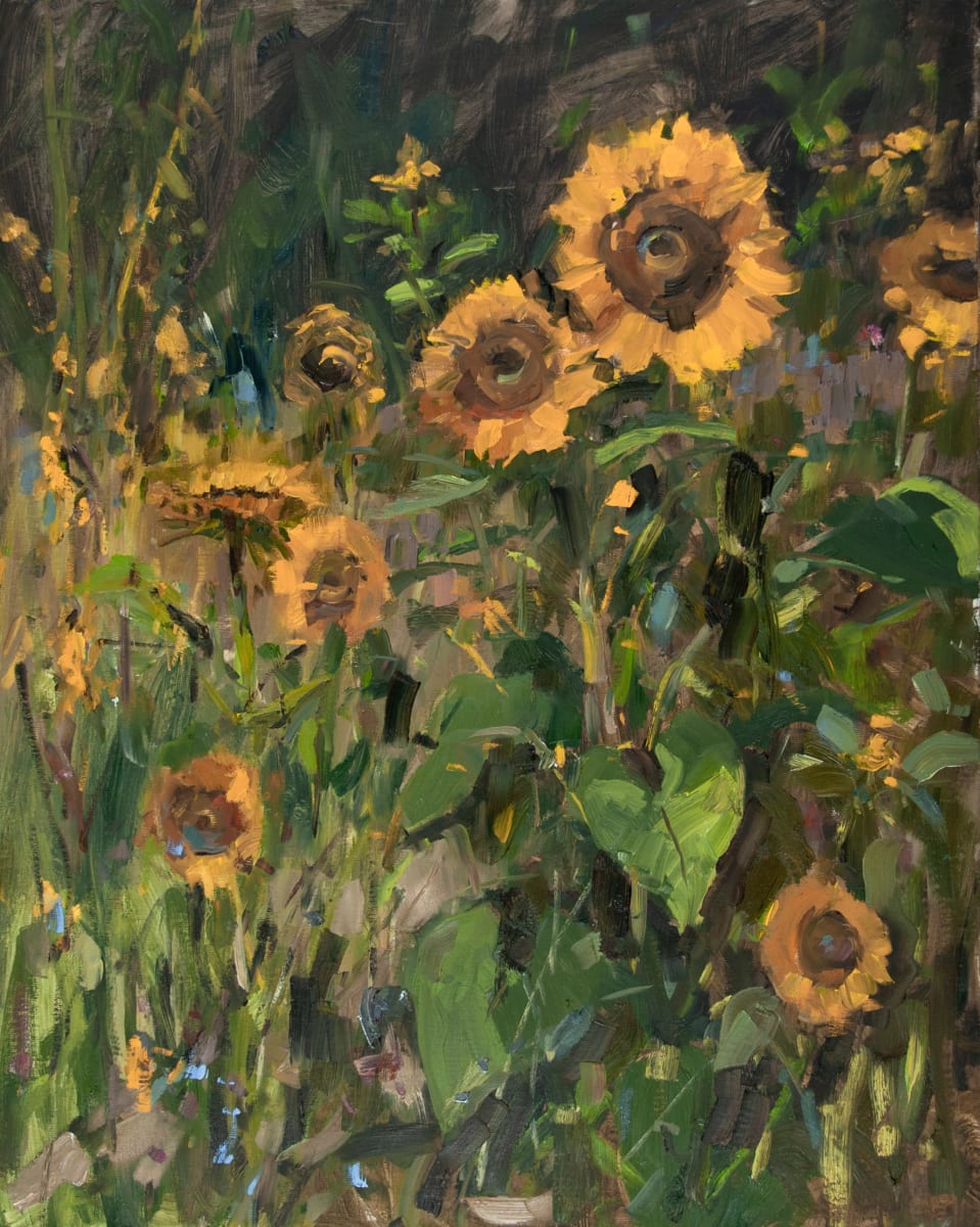 Sunflowers of Hope by Stephanie Amato 