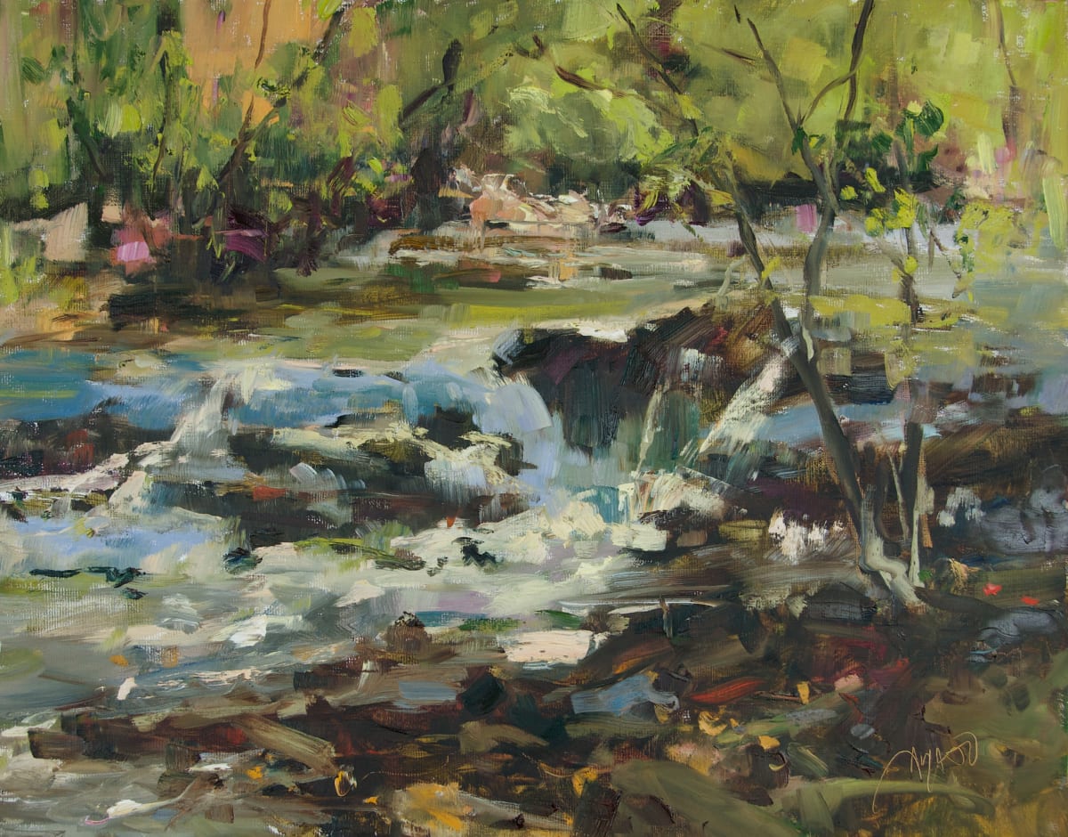 Sunlight on the Rapids by Stephanie Amato 