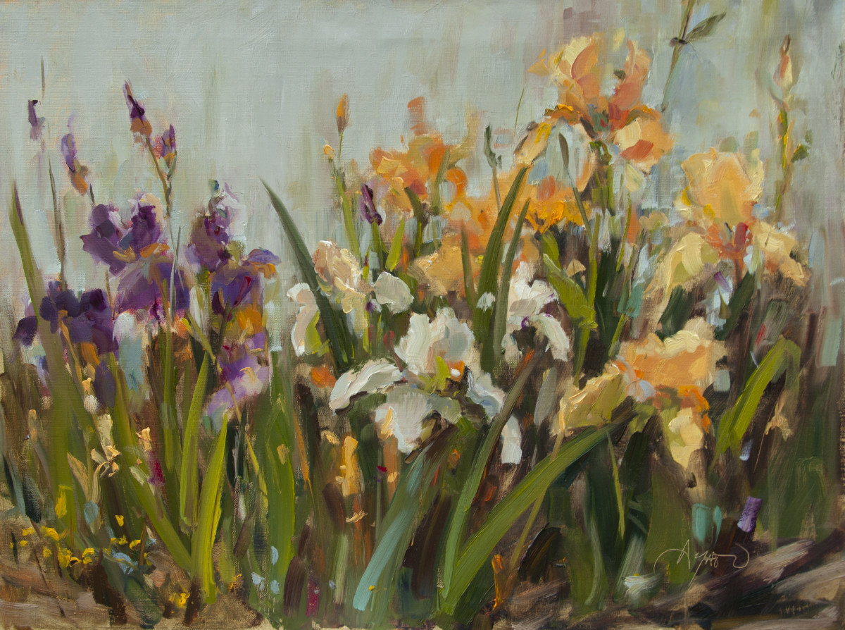 The Irises in My Garden (Framed) by Stephanie Amato 