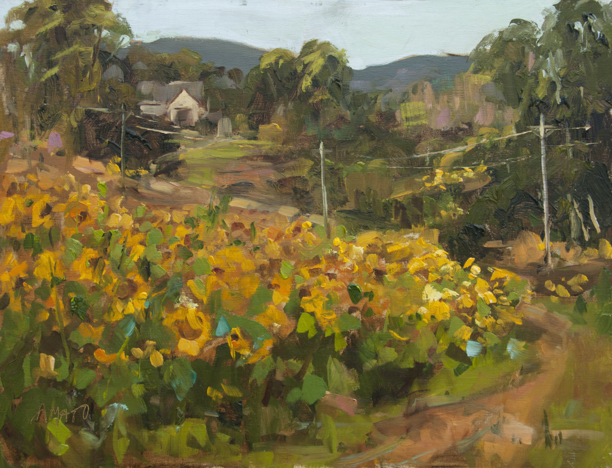 The Road Home by Stephanie Amato 