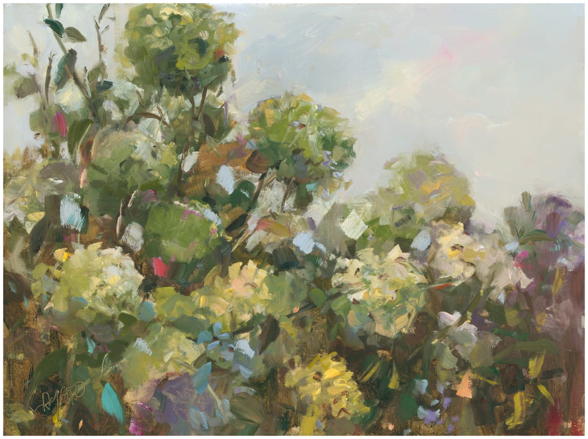 Viburnum in Spring by Stephanie Amato 