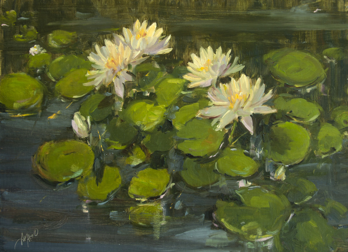 Waterlilies Glow by Stephanie Amato 