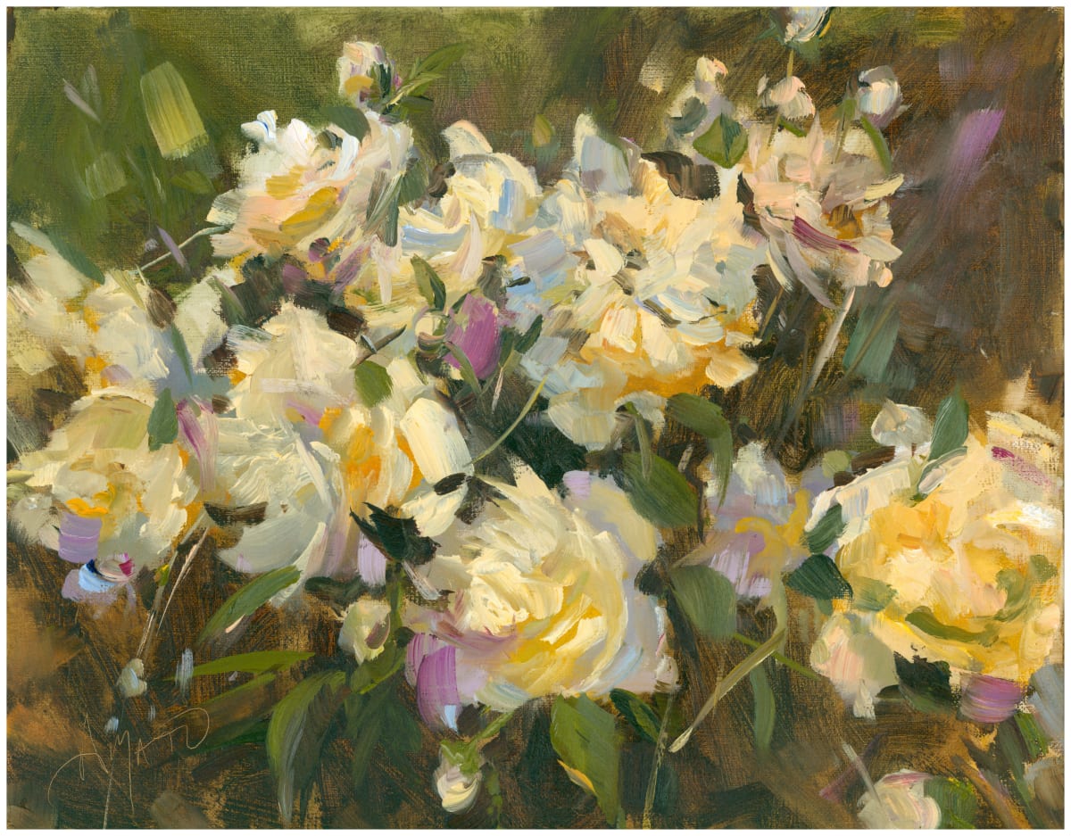 White Peonies 2024 by Stephanie Amato 