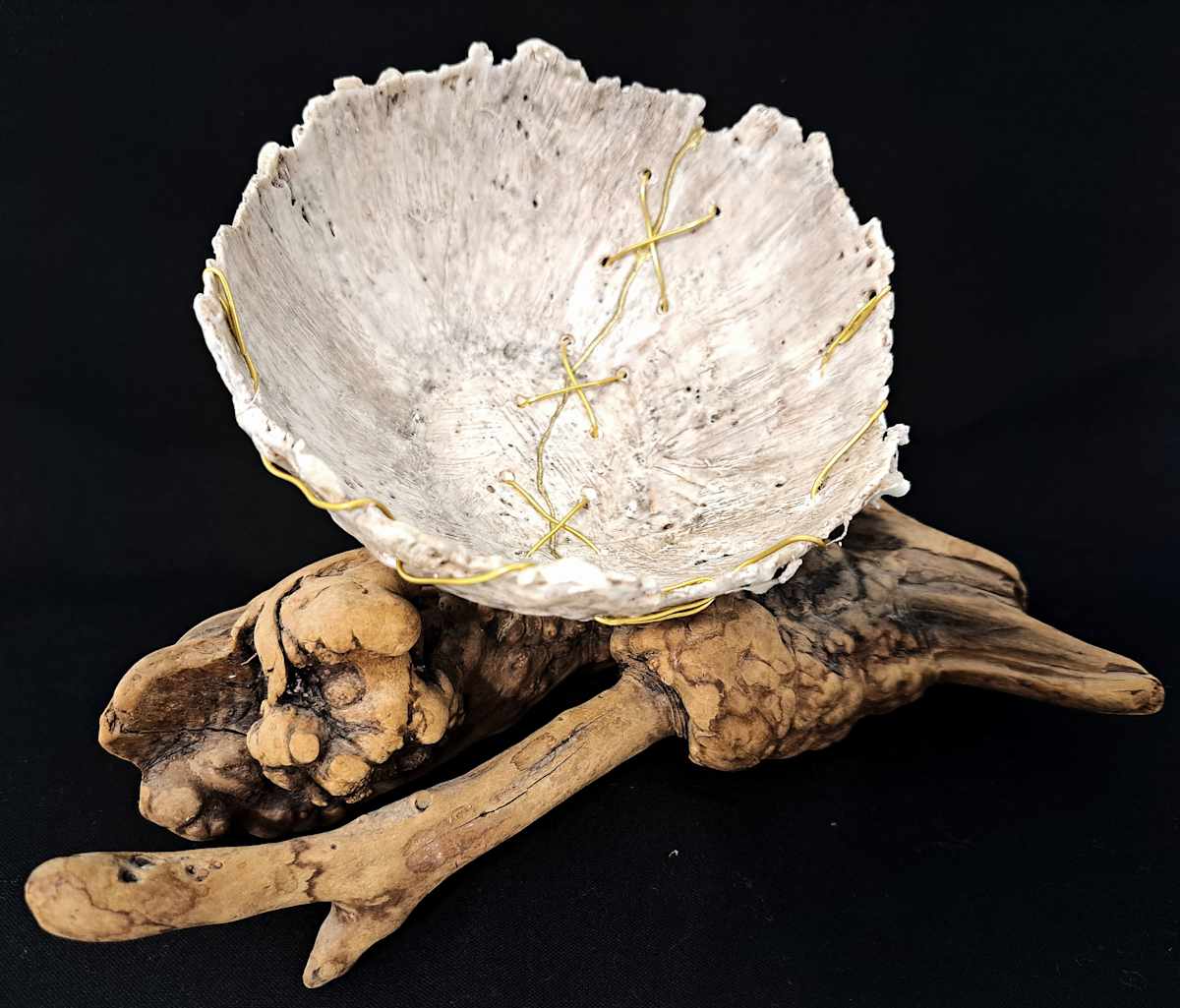 A State of Non-Disrepair by Dusti Gomery 