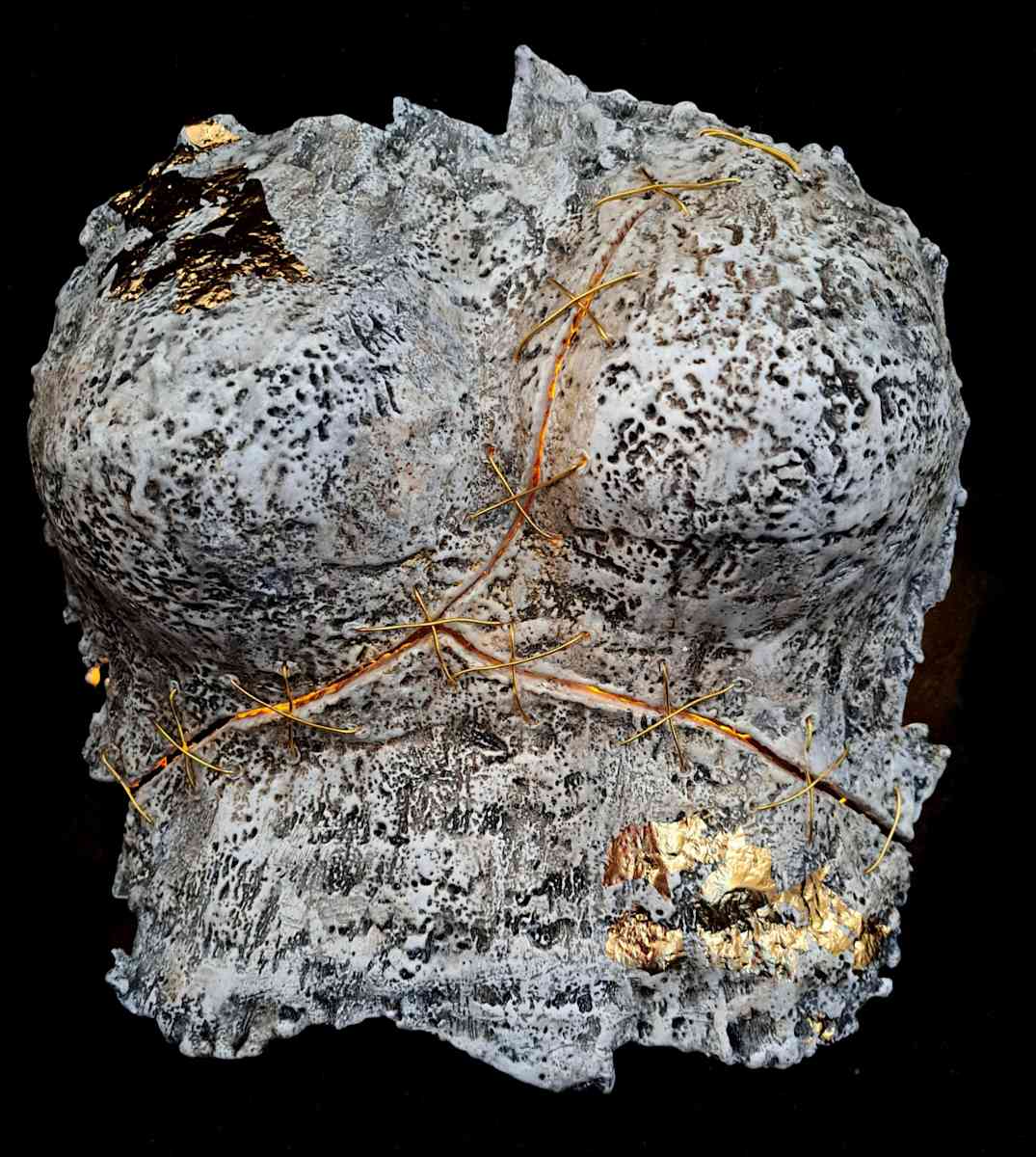 Shine by Dusti Gomery, Image 2.