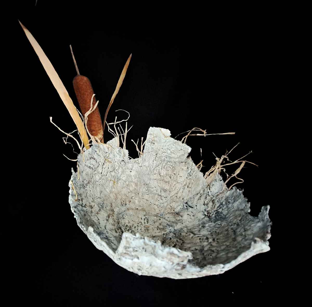 Gone Froggin' by Dusti Gomery 