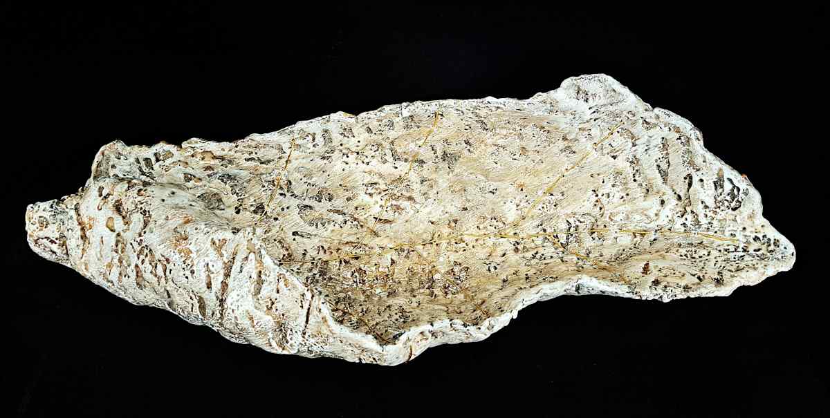 Windy Acres by Dusti Gomery 