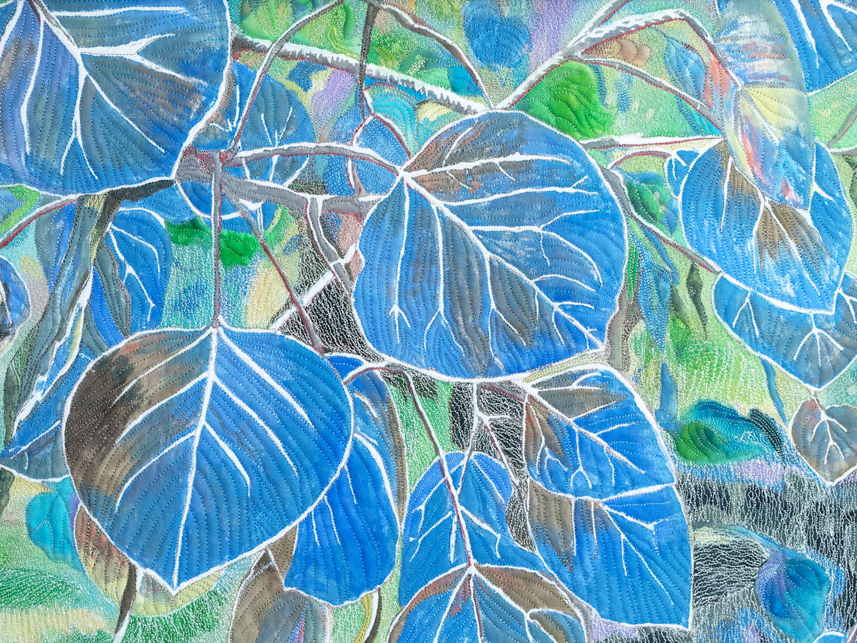 Blue Leaves by Janet Herman  Image: In the shadows, the aspen's soft green leaves took on a blue cast as they are backlit by a setting sun. I needed to capture the image and elevate it. 