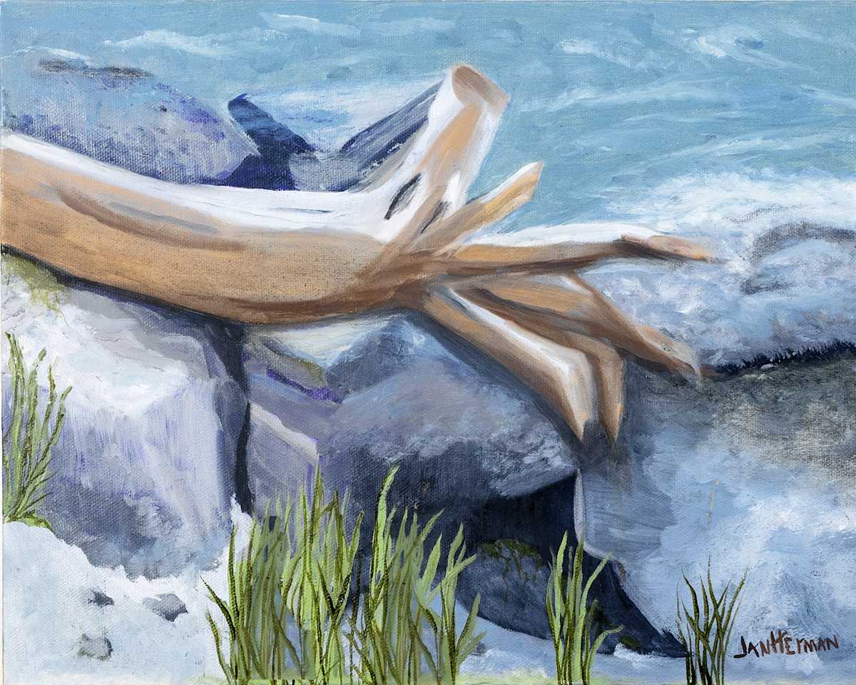 Driftwood by Janet Herman  Image: When you are no longer floating with the current, something may obstruct your movement. 