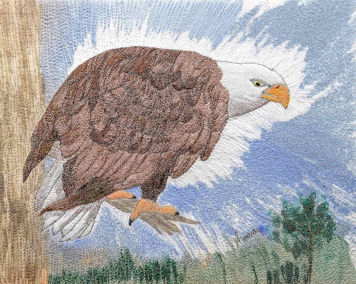 Eagle's View by Janet Herman  Image: This is a graphic piece to feature an American eagle. 