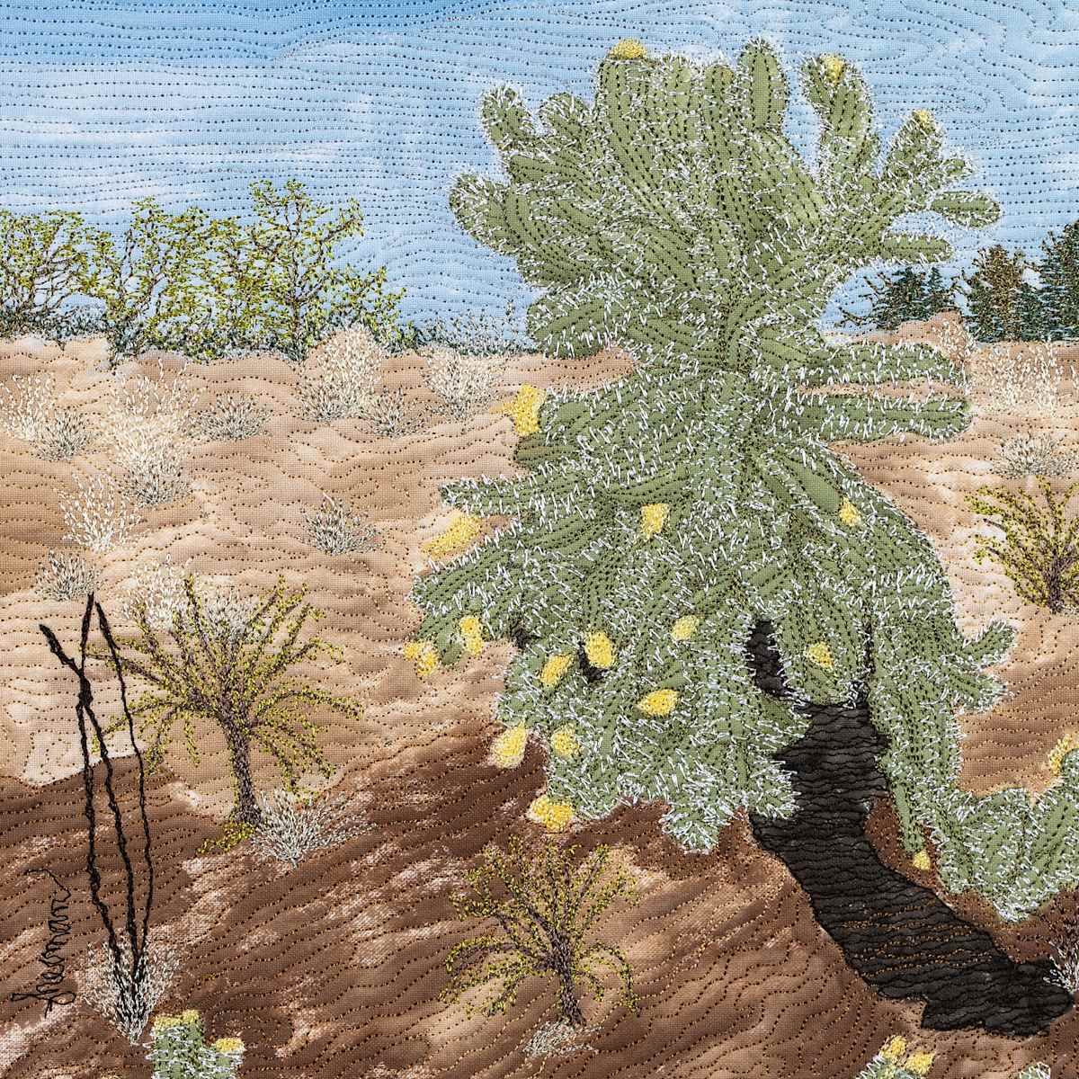 Jumping Cholla by Janet Herman  Image: Cactus from the Superstitions.