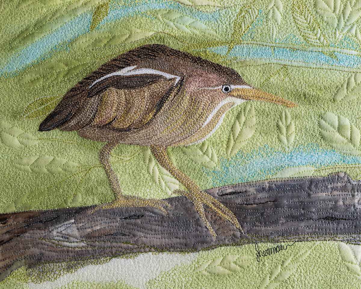 Least Bittern Heron by Janet Herman, Image 1.