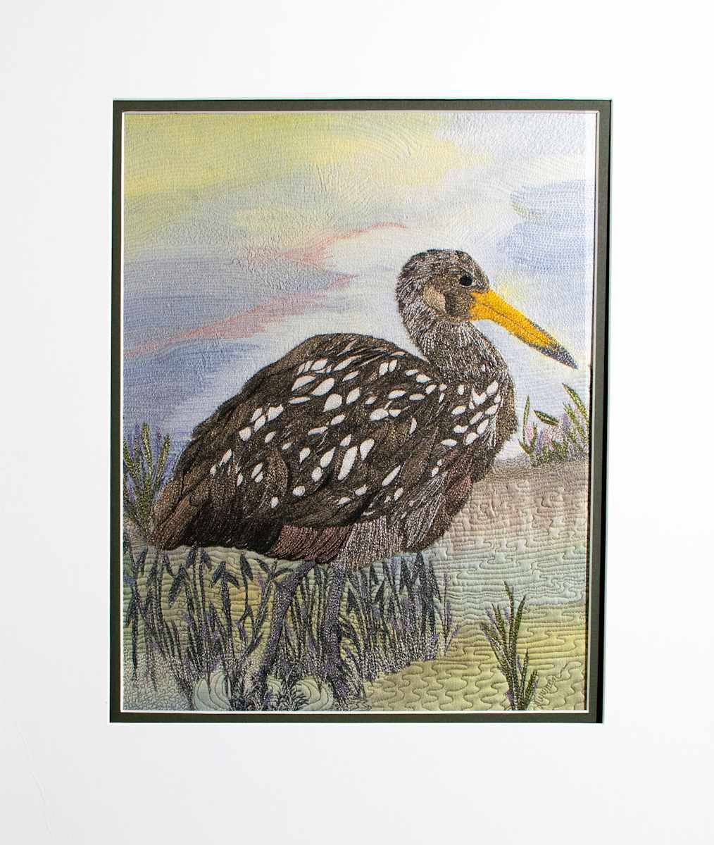 Limpkin in Water #8/10 Reproduction by Janet Herman  Image: Searching for clams in shallow lake's bed. 