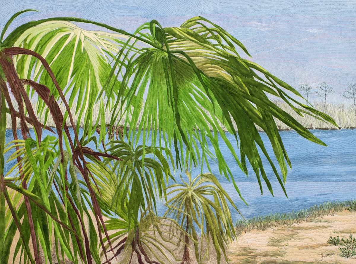 Palmetto Trail by Janet Herman  Image: Florida's coastal backwater birding trail