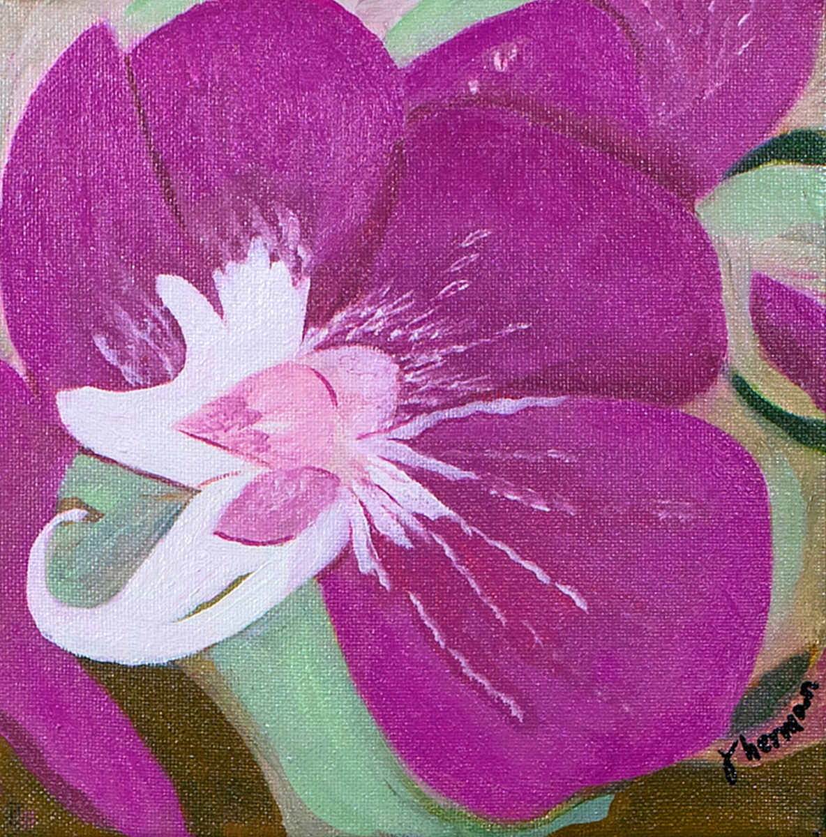 Pink Orchid by Janet Herman 