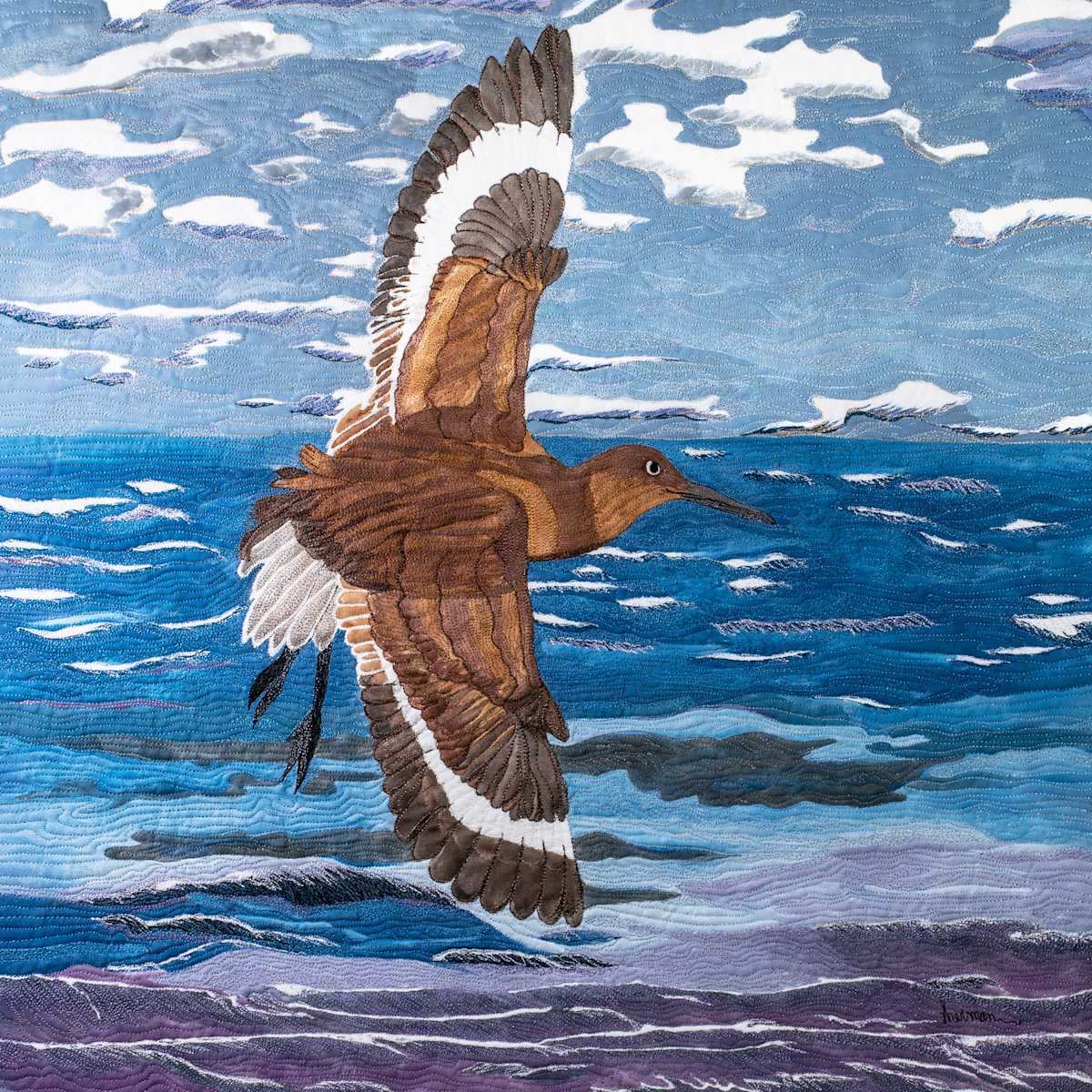 Seabird Searching by Janet Herman, Image 1.
