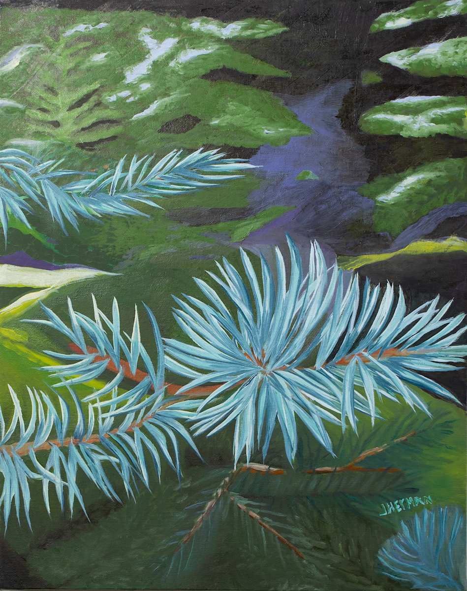 Spruce Whimsey by Janet Herman  Image: It was barely a trail I followed into the shadows of tall, wispy pines trees. Close, in front of my face, a branch extending into sunlight catches my attention. 