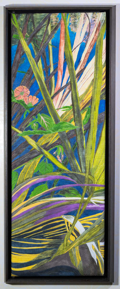 Strap Fern by Janet Herman 