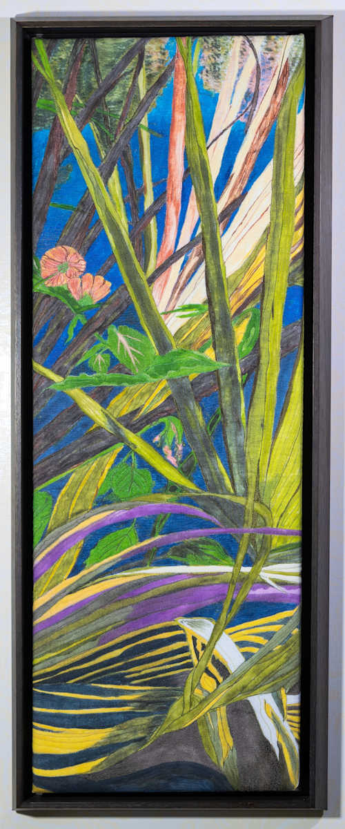 Strap Fern by Janet Herman, Image 1.