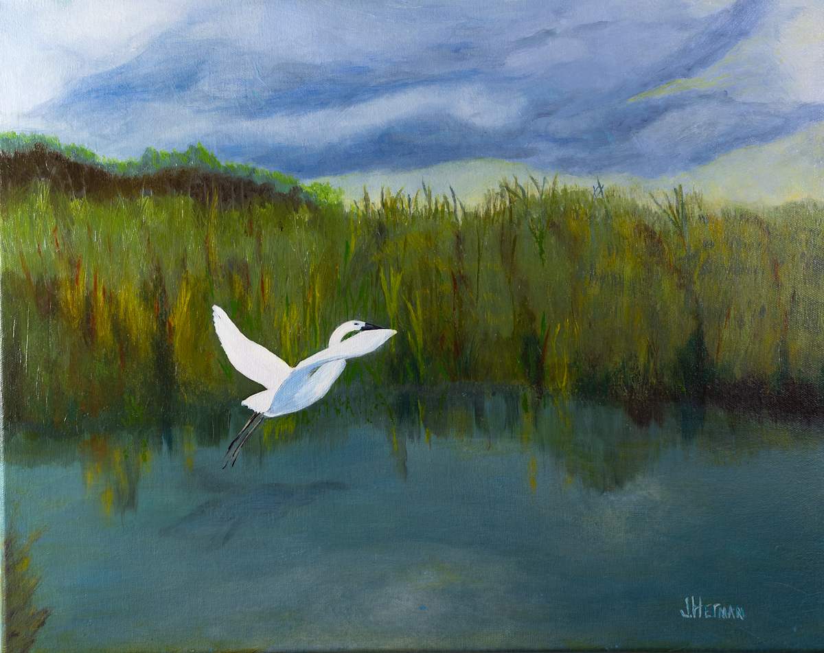 Taking Flight by Janet Herman 