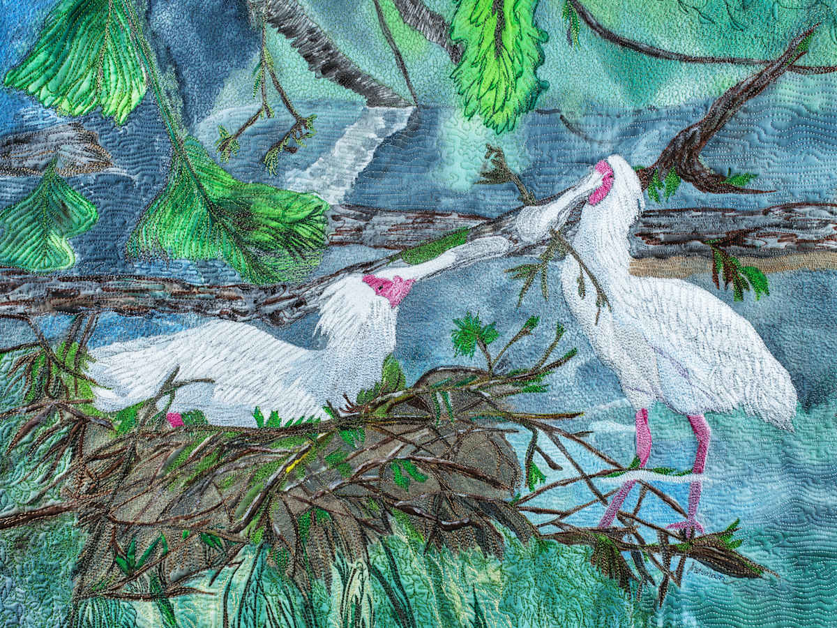 Spoonbills Nesting #7/15 Reproduction by Janet Herman  Image: Watching, as two Spoonbills make a nest