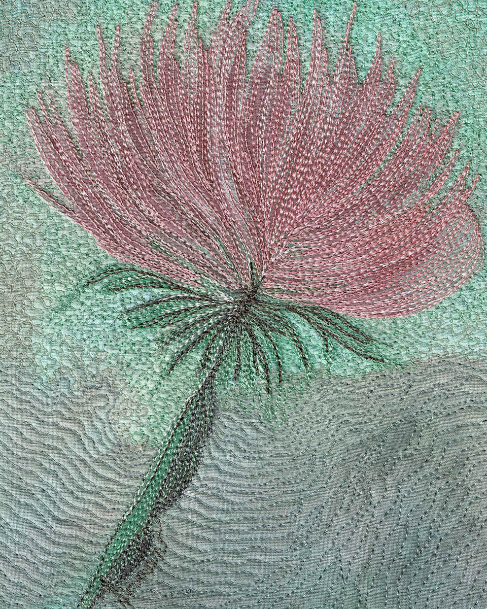 Thistle 8x10 Reproduction #2 of 5 by Janet Herman 