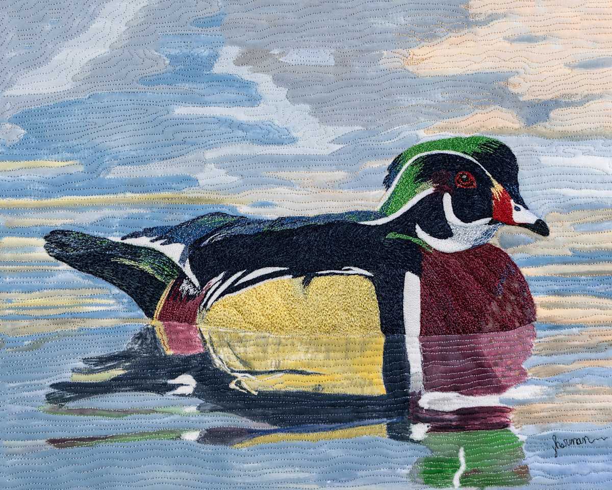 Wood Duck on Water by Janet Herman 