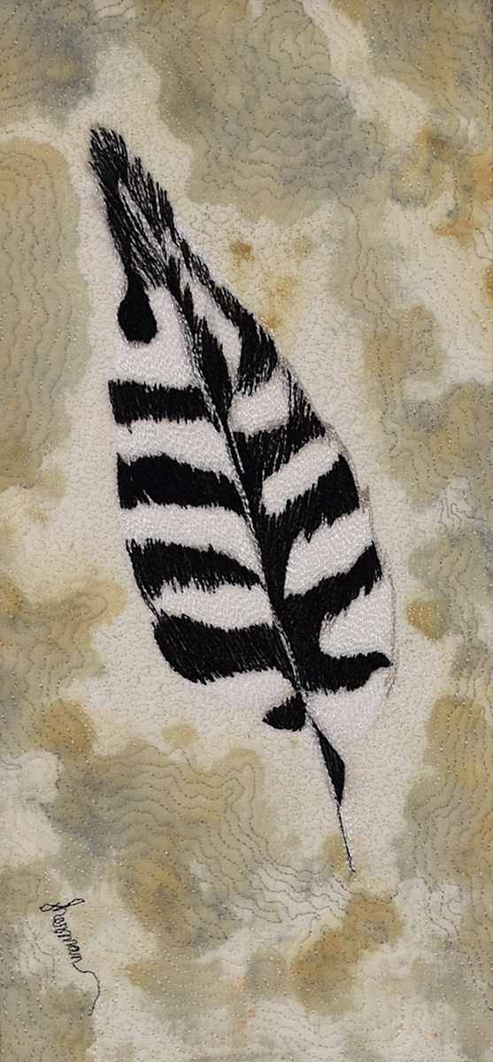 Woodpecker Feather by Janet Herman 