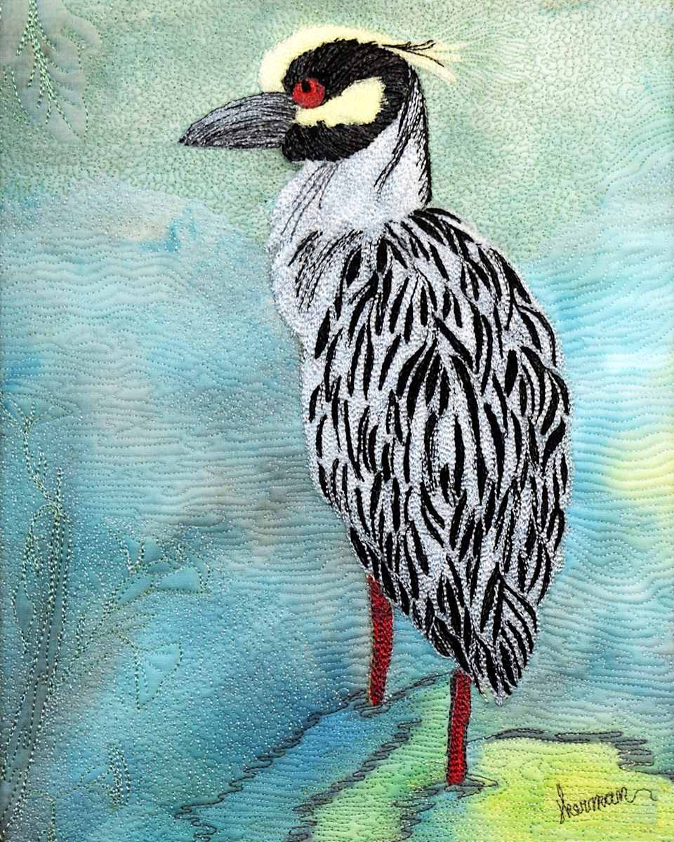 Yellow Crown Night Heron 2 by Janet Herman  Image: Textured paper reproduction available in "reproductions-sold originals"