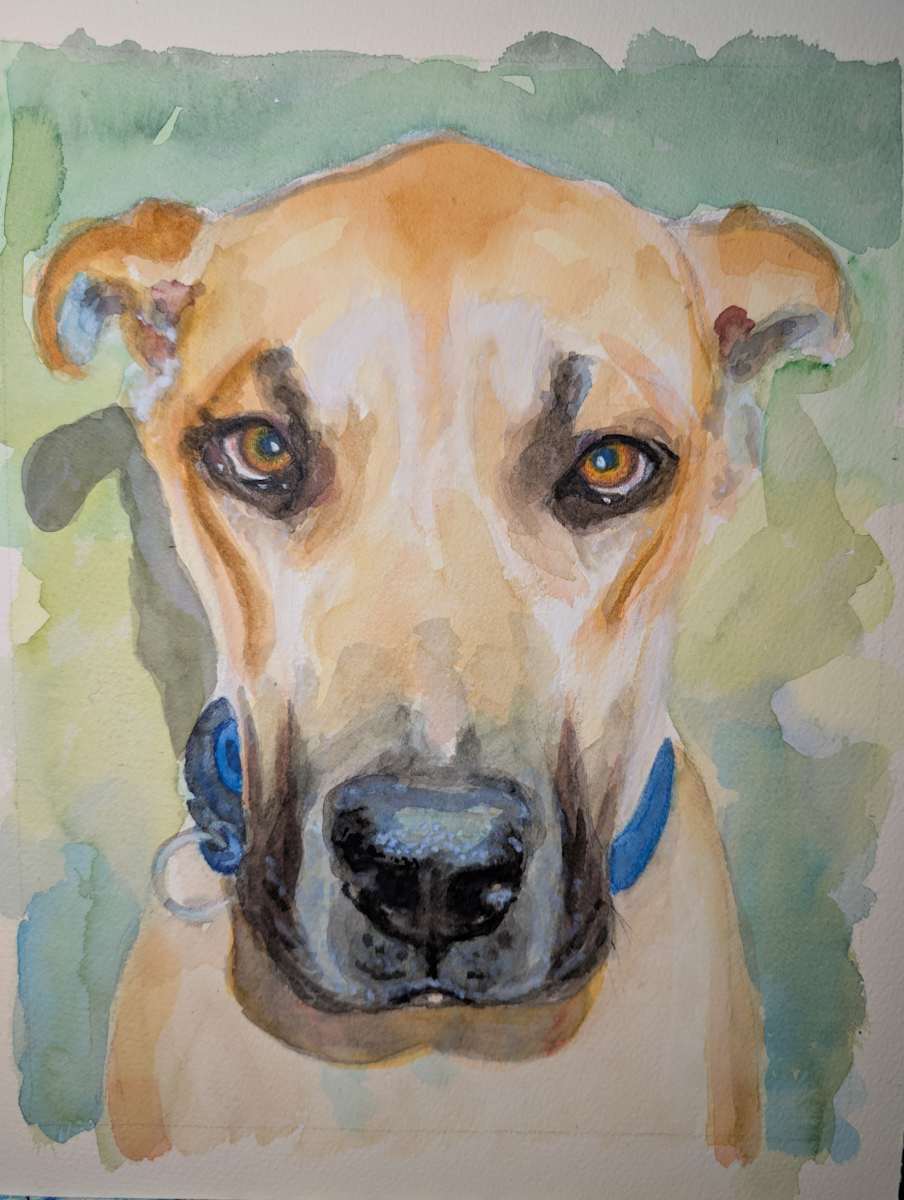 Great Dane. by Hanna Bordewijk 