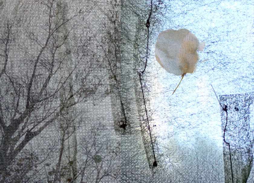 Winter by Alina Manko, Image 1.