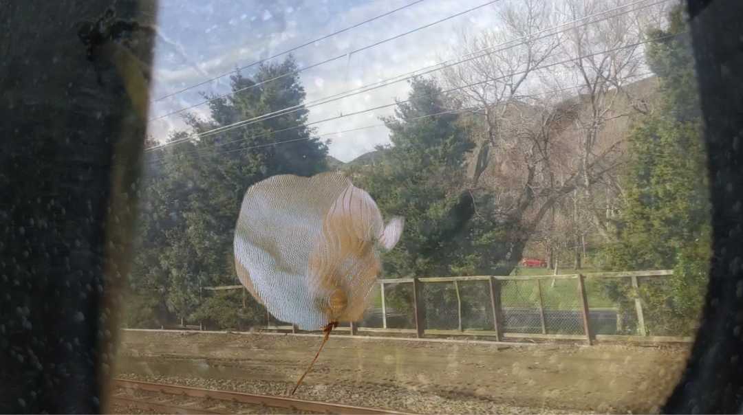 Trains by Alina Manko, Image 1.