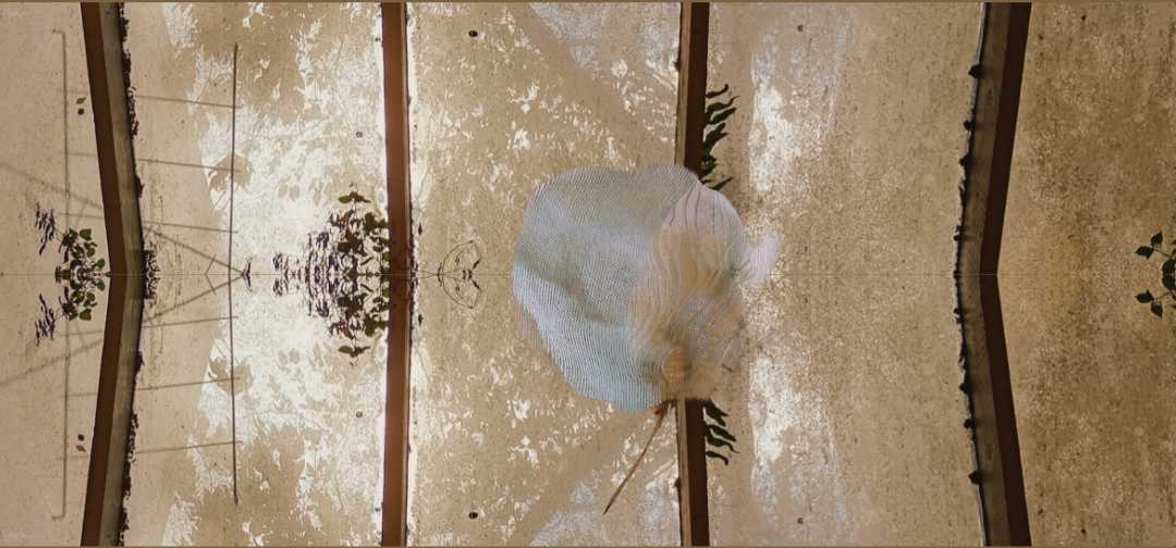Afloat by Alina Manko, Image 1.
