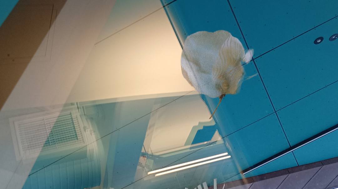 Library Reflections by Alina Manko, Image 1.