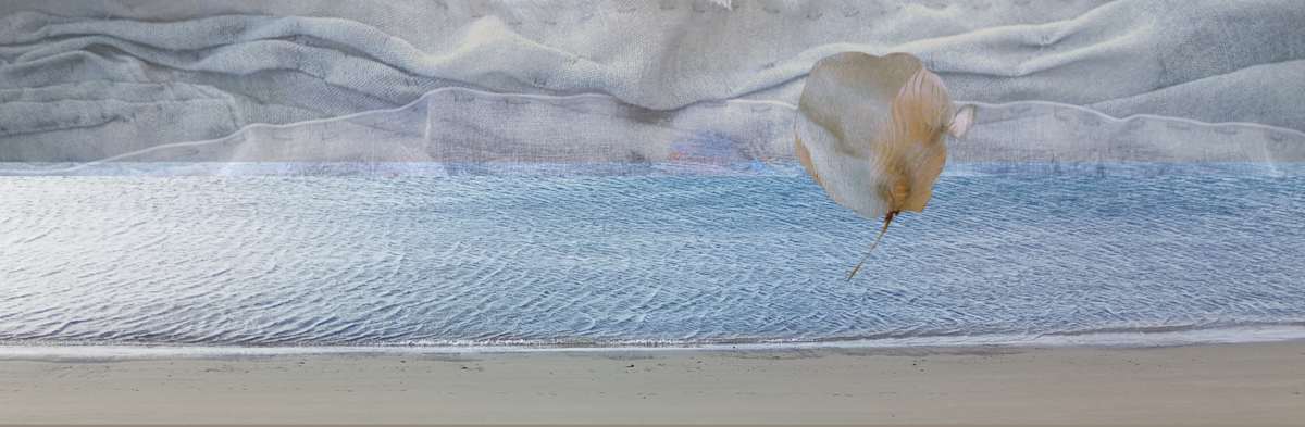 Cloudy by Alina Manko, Image 1.