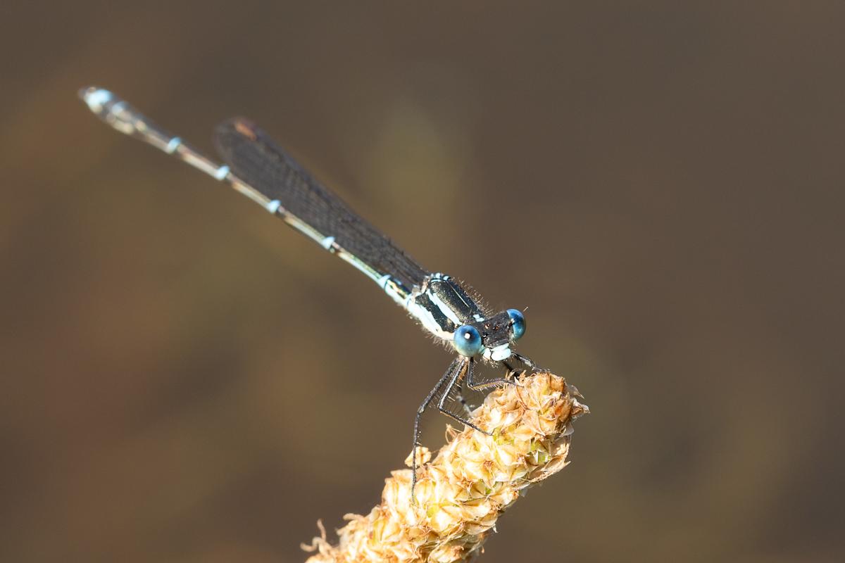Graceful balance by EB Photography, Image 1.