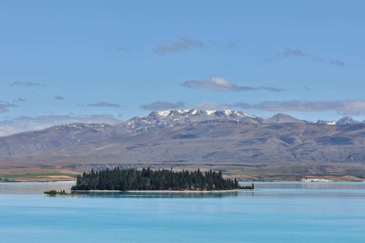 Lake Tekapo island of trees by EB Photography  Image: Lake Tekapo with island of trees in the middle and hills and snowy mountains in the background