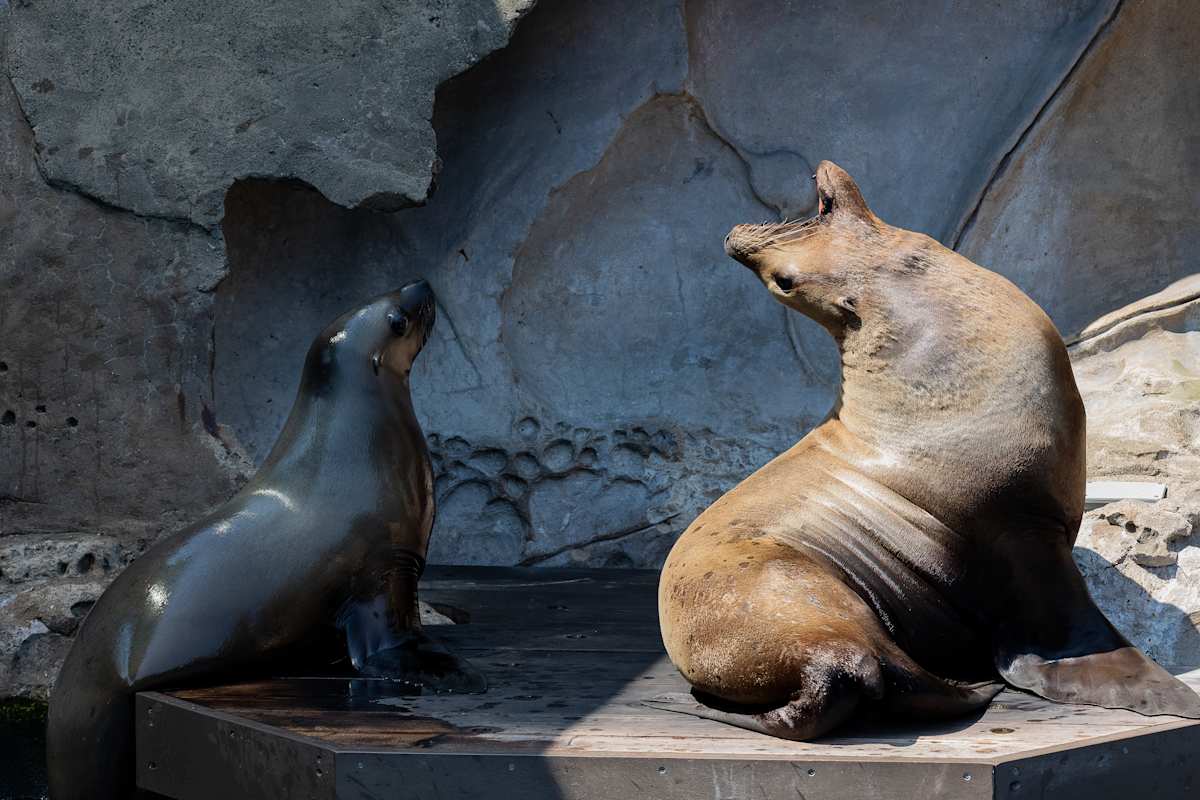 Where are the snacks? by EB Photography 