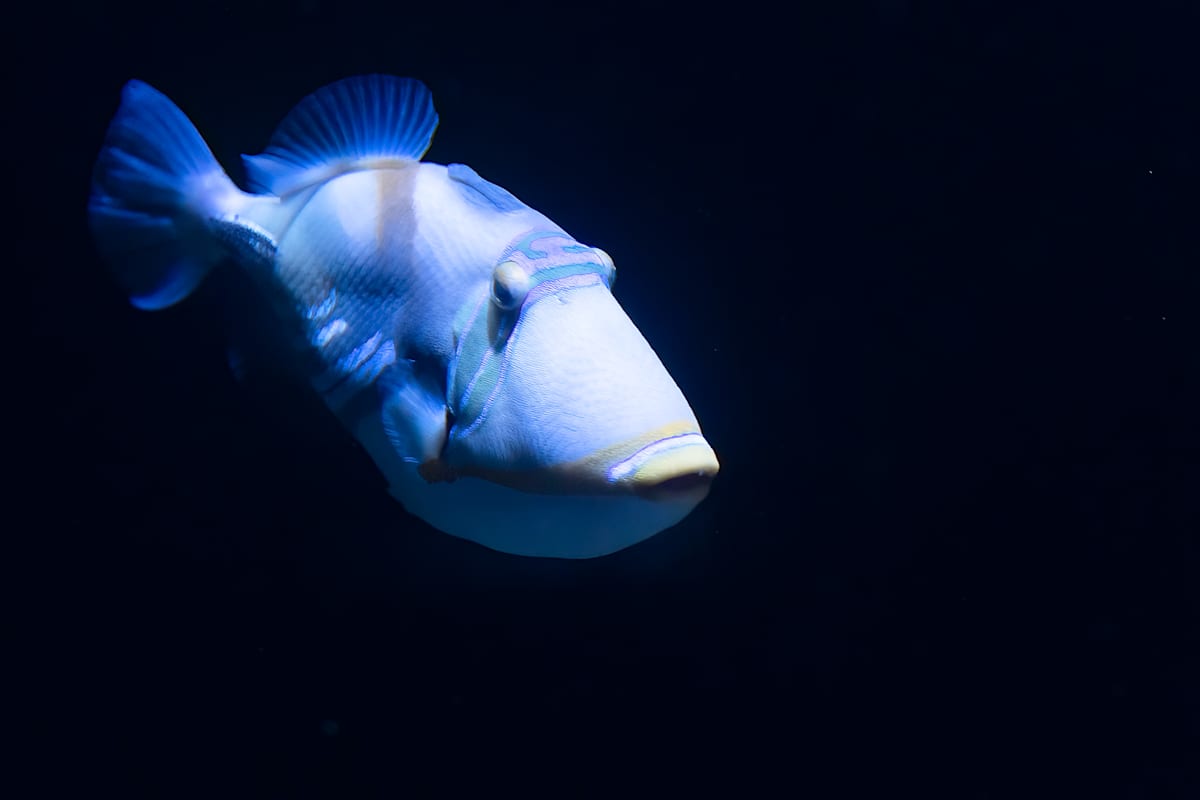 Out of the dark by EB Photography 
