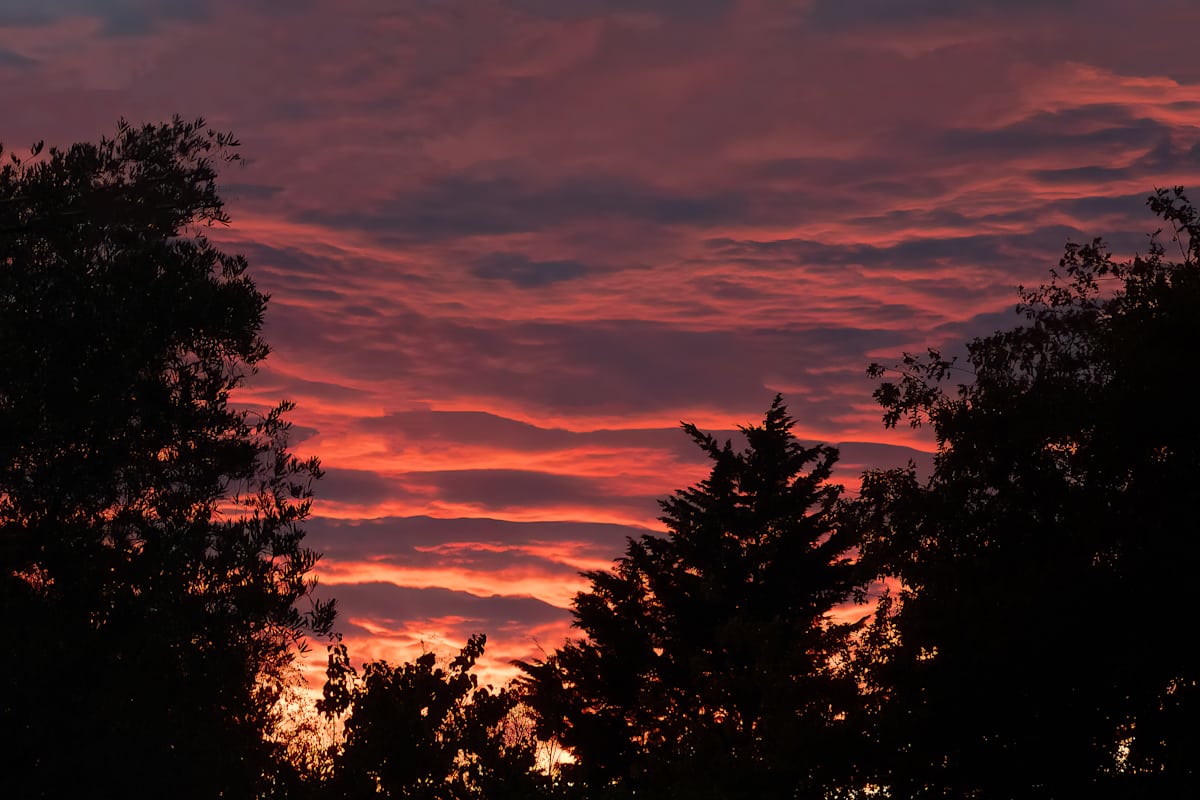 Fiery morning by EB Photography 