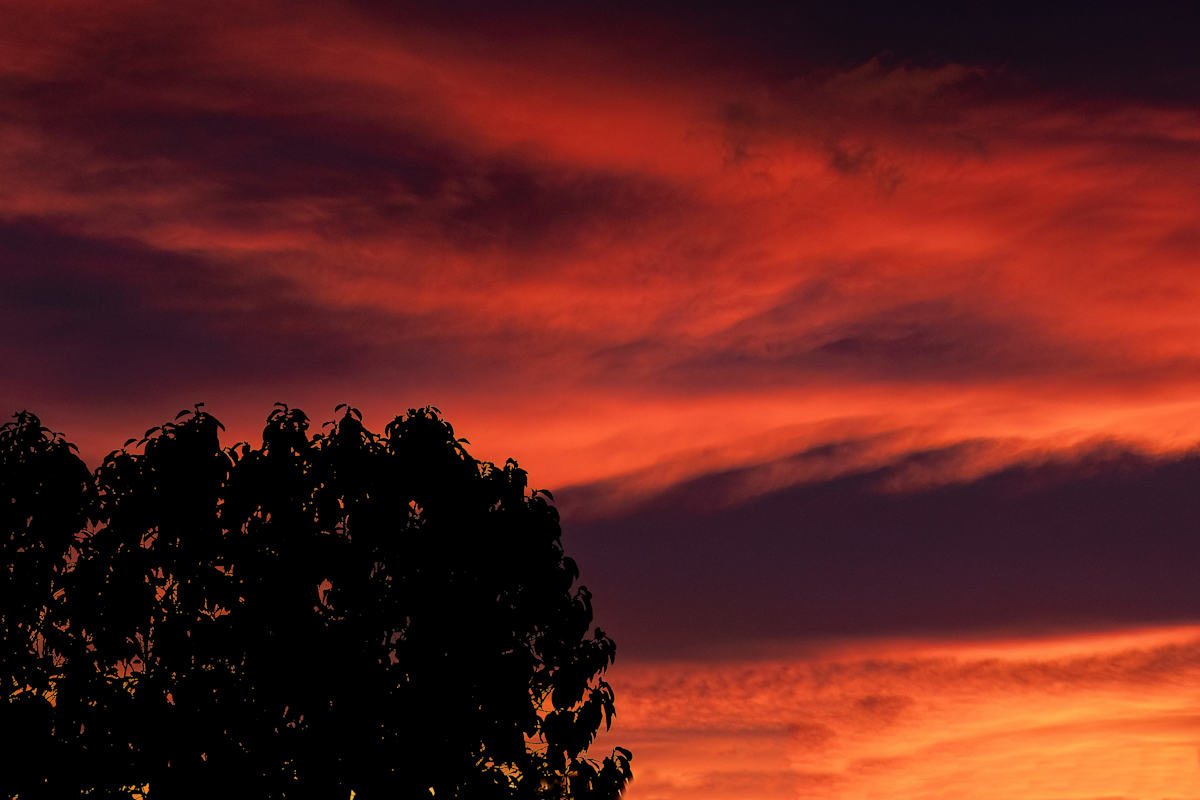 Skies on fire by EB Photography 