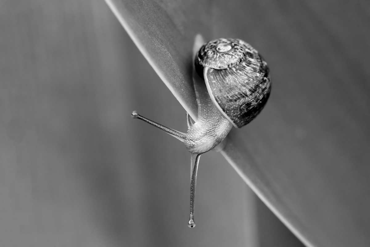 In the upside down by ABPhotography, Image 1.
