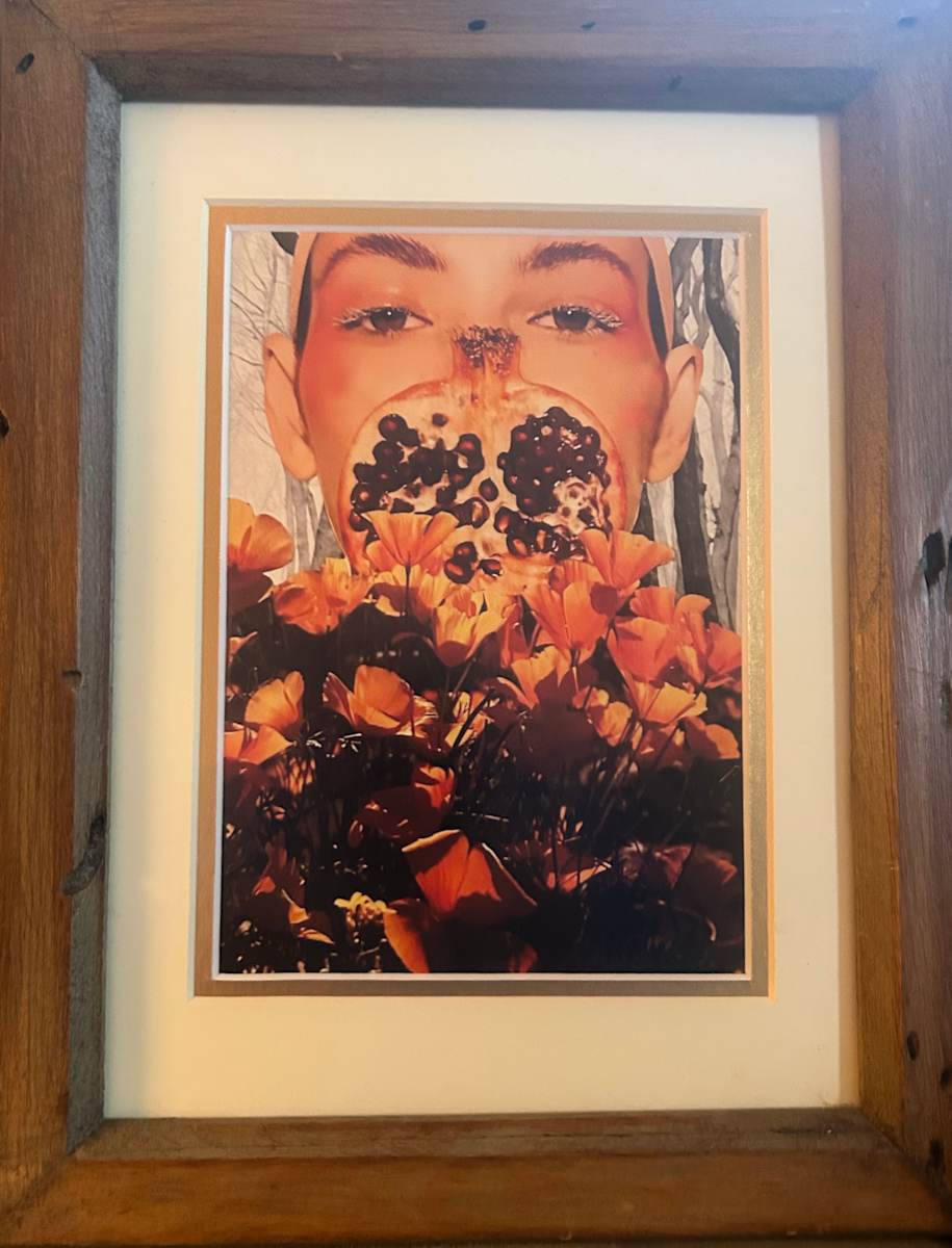 Dropping Seeds by Kate Audet 